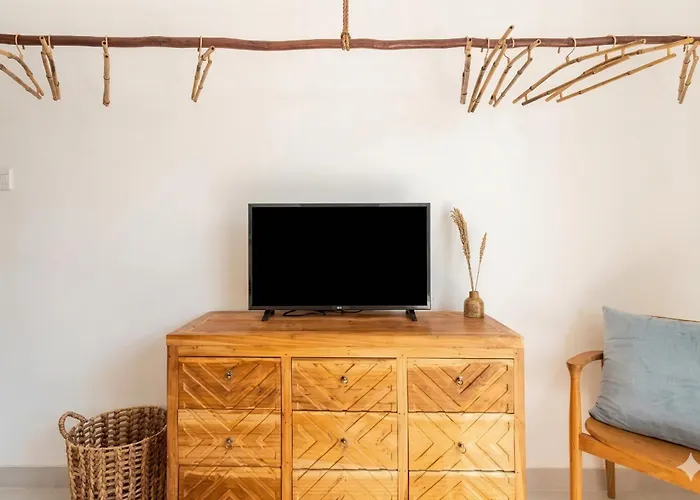 Twin Brothers *